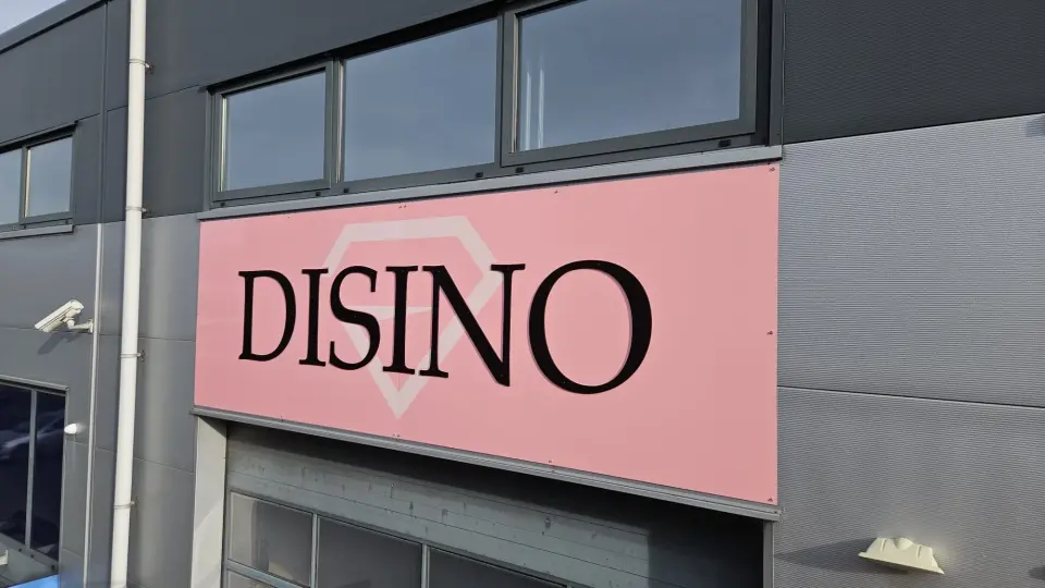 Disino 6